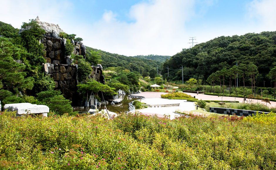 생태공원 사진