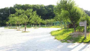 책의 정원 이미지