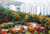 궁내공원(궁내동) 사진